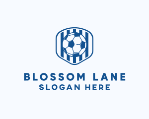 Blue Soccer Ball logo design