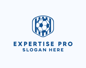 Blue Soccer Ball logo design