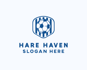 Blue Soccer Ball logo design