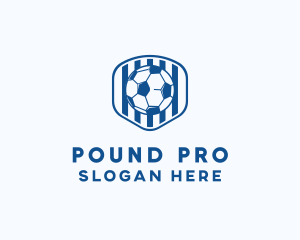 Blue Soccer Ball logo design