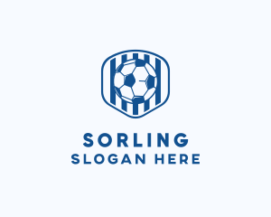 Blue Soccer Ball logo design