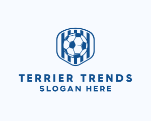 Blue Soccer Ball logo design