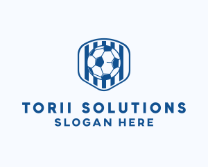 Blue Soccer Ball logo design