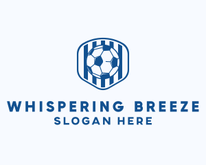 Blue Soccer Ball logo design