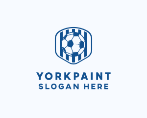 Blue Soccer Ball logo design