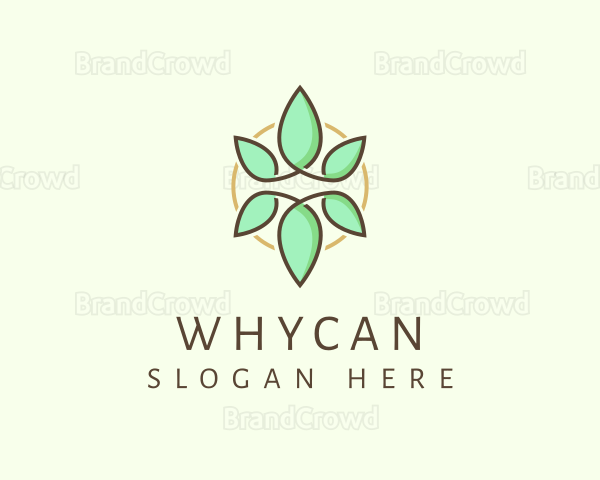 Natural Herbal Leaf Logo