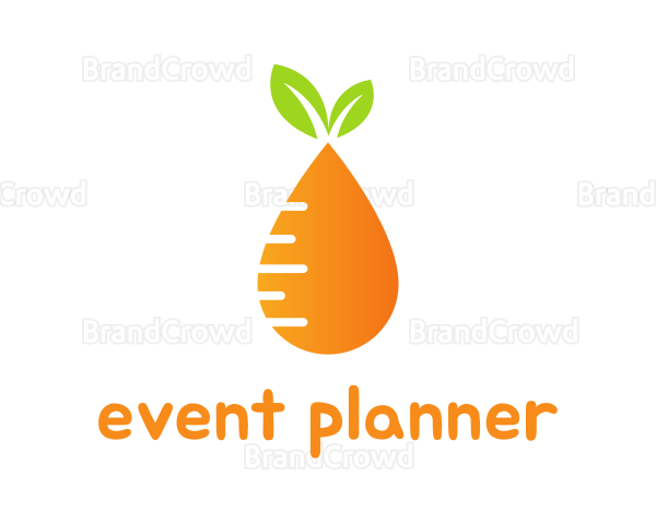 Orange Carrot Droplet Logo