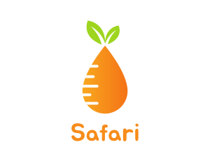 Orange Carrot Droplet Logo