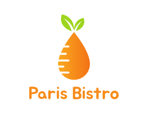 Orange Carrot Droplet logo design