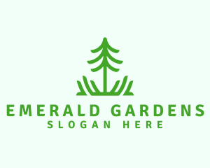 Pine Tree Nature  logo design