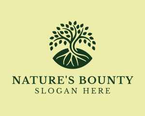 Natural Mangrove Tree logo design