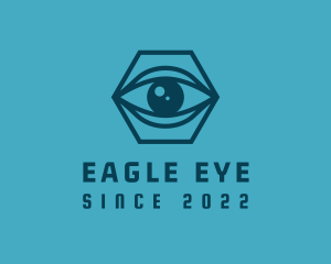 Eye Surveillance Camera logo design