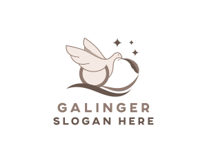 Animal - Bird Dove Feather logo design