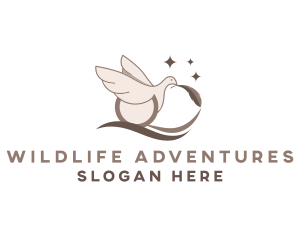 Bird Dove Feather  logo design