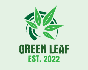Weed - Hipster Leaf Weed logo design