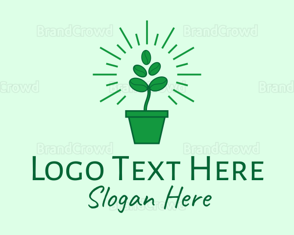 Green Coffee Bean Plant Logo