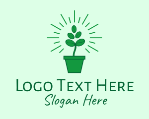 Potted Plant - Green Coffee Bean Plant logo design