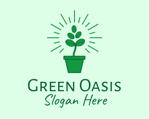 Green Coffee Bean Plant logo design