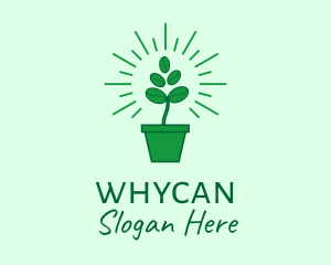 Coffee Farm - Green Coffee Bean Plant logo design