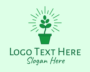 Coffee Plant - Green Coffee Bean Plant logo design