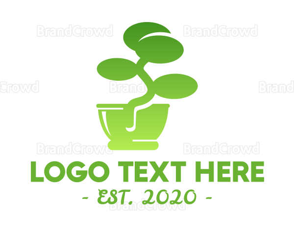 Bonsai Tree Plant Logo