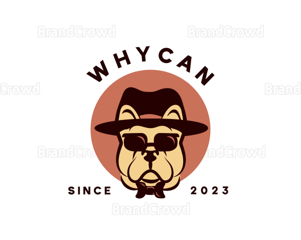 Bulldog Fedora Sunglasses Logo
