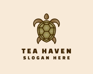 Brown Sea Turtle Logo