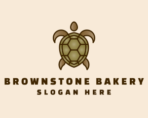 Brown Sea Turtle logo design