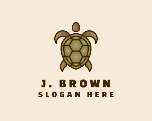 Brown Sea Turtle logo design