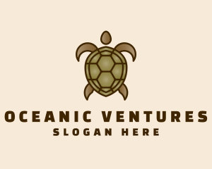 Brown Sea Turtle logo design