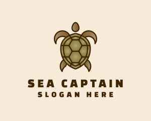 Brown Sea Turtle logo design