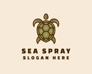 Brown Sea Turtle logo design