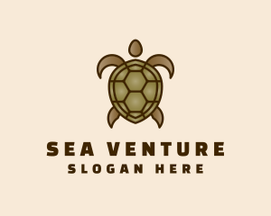 Brown Sea Turtle logo design