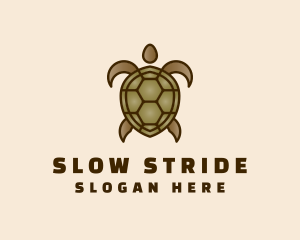 Tortoise - Brown Sea Turtle logo design