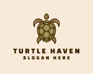 Brown Sea Turtle logo design
