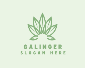 Grass - Organic Cannabis Leaf logo design