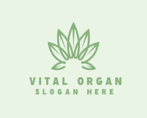 Organic Cannabis Leaf logo design