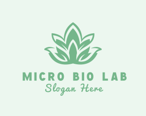 Botanical Herb Garden logo design