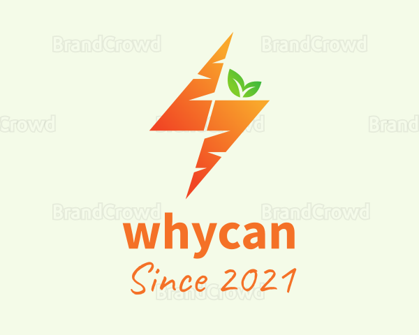 Orange Bolt Carrot Logo