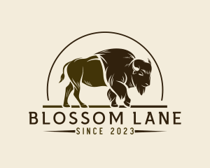 Bison Western Rodeo logo design