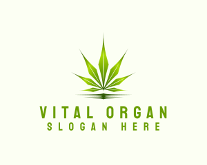 Organic Leaf Cannabis logo design