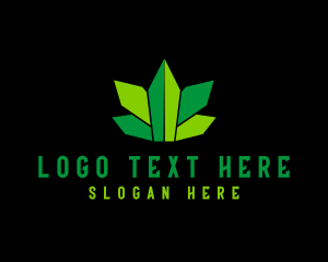 Ganja - Geometric Cannabis Leaf logo design