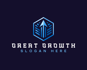 Modern Arrow Growth  logo design