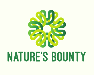 Nature Botanical Flower logo design