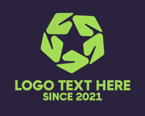 Ecological - Nature Leaf Star logo design