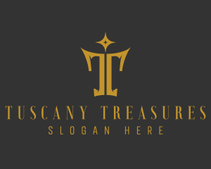 Luxury Sparkle Letter T logo design