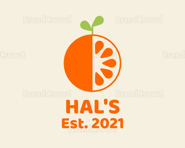 Fresh Orange Fruit Logo