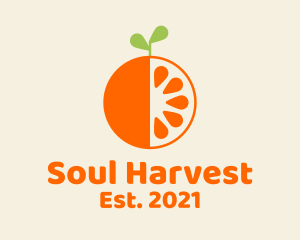 Fresh Orange Fruit  logo design