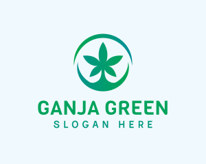 Cannabis Weed Emblem logo design