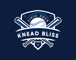 Sport Baseball Shield logo design